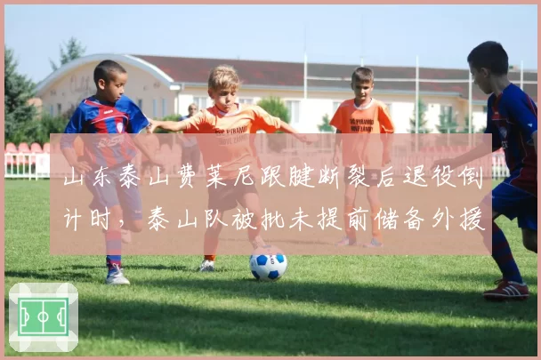 山东泰山费莱尼跟腱断裂后退役倒计时，泰山队被批未提前储备外援