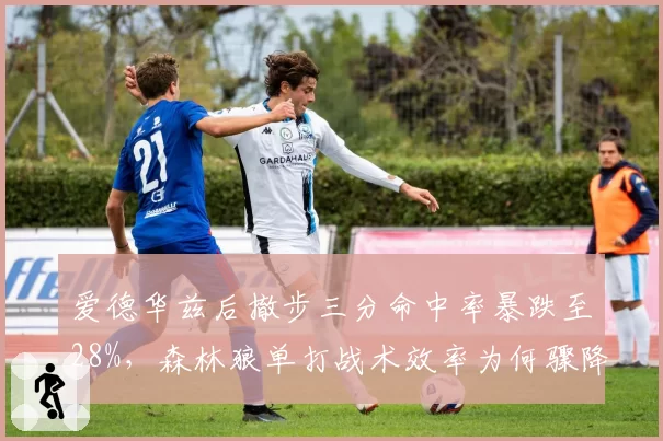 爱德华兹后撤步三分命中率暴跌至28%，森林狼单打战术效率为何骤降？