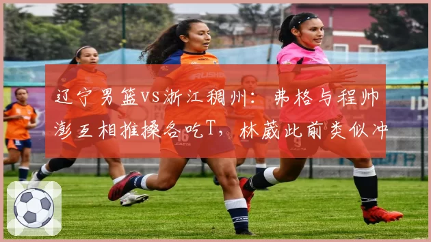 辽宁男篮vs浙江稠州：弗格与程帅澎互相推搡各吃T，林葳此前类似冲突仅警告被指双标
